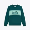 Felpa Crew Logo Felpa girocollo in cotone