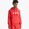 Hoodie Logo Felpa con cappuccio sportiva – Made in Italy – Unisex