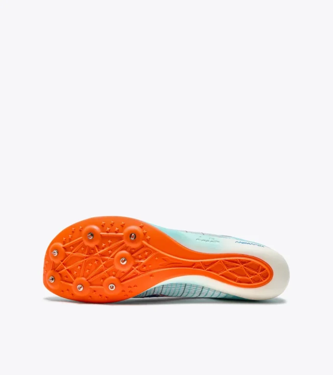 Scarpa da corsa Velocità Carbon – Unisex